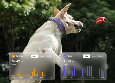 Activity & Health Monitoring