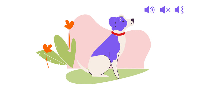 Custom correction methods: sound, vibration and static(optional)