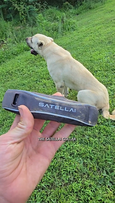 video_cover