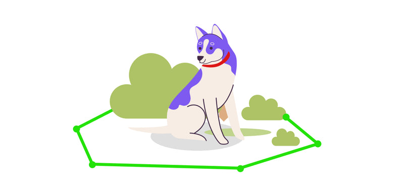 Train your dog to learn the safe boundary.
