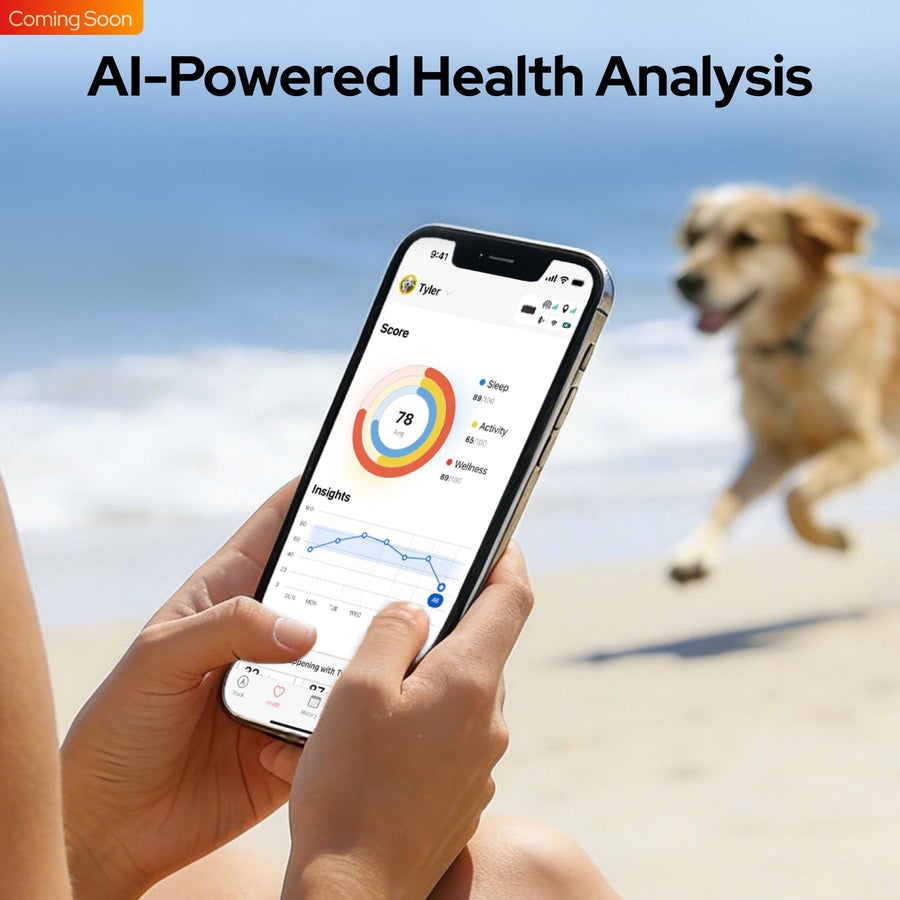 Smart dog collar app showing AI health analysis on phone