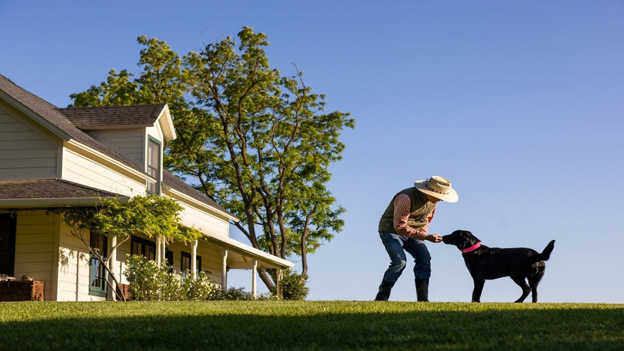 Dog wearing a SATELLAI GPS fence collar with owner outside a farmhouse on open rural property