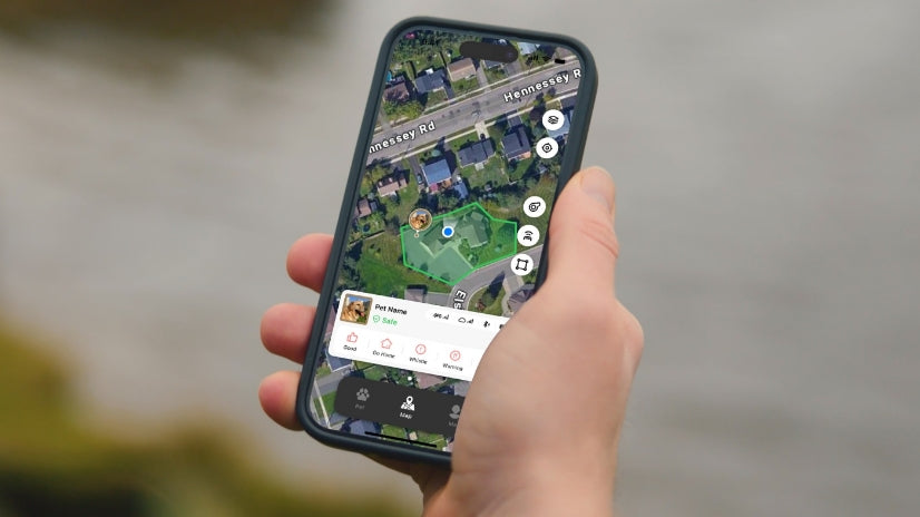 Smart GPS dog collar app showing real-time pet location and geofence on map