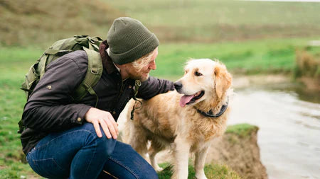 From Jumping to Digging: What Behaviors Can a Smart Collar Address?