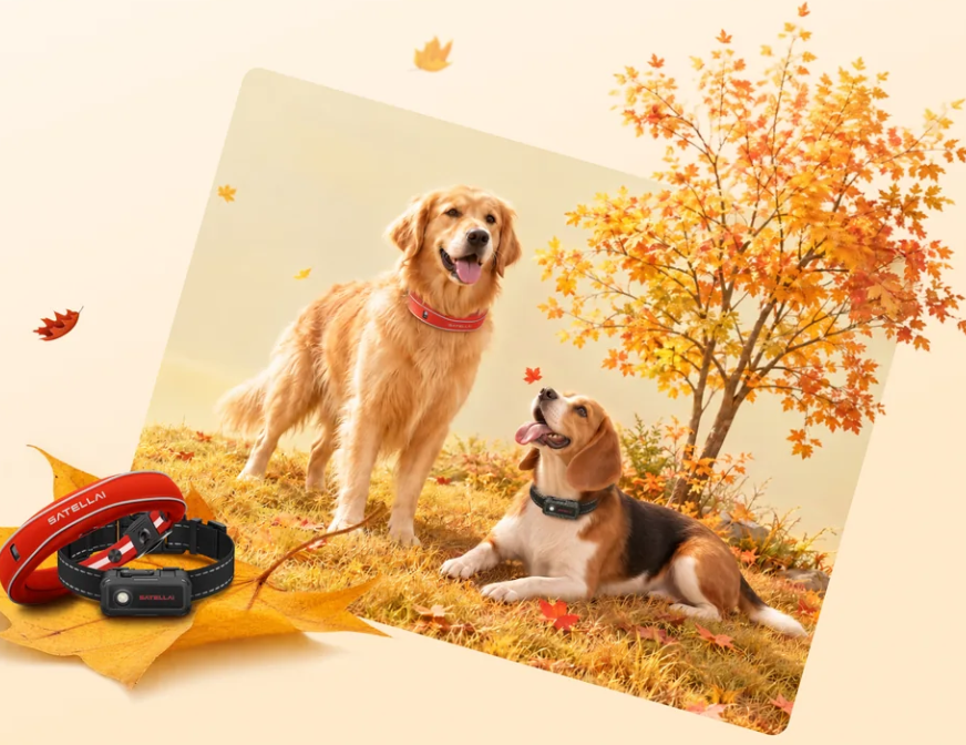 SATELLAI Autumn Sale 2026: Save Up to 25%
