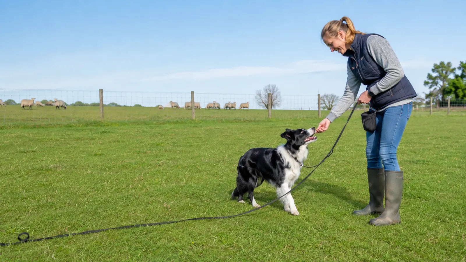 Best GPS Dog Trackers in 2026: 5 Options Compared