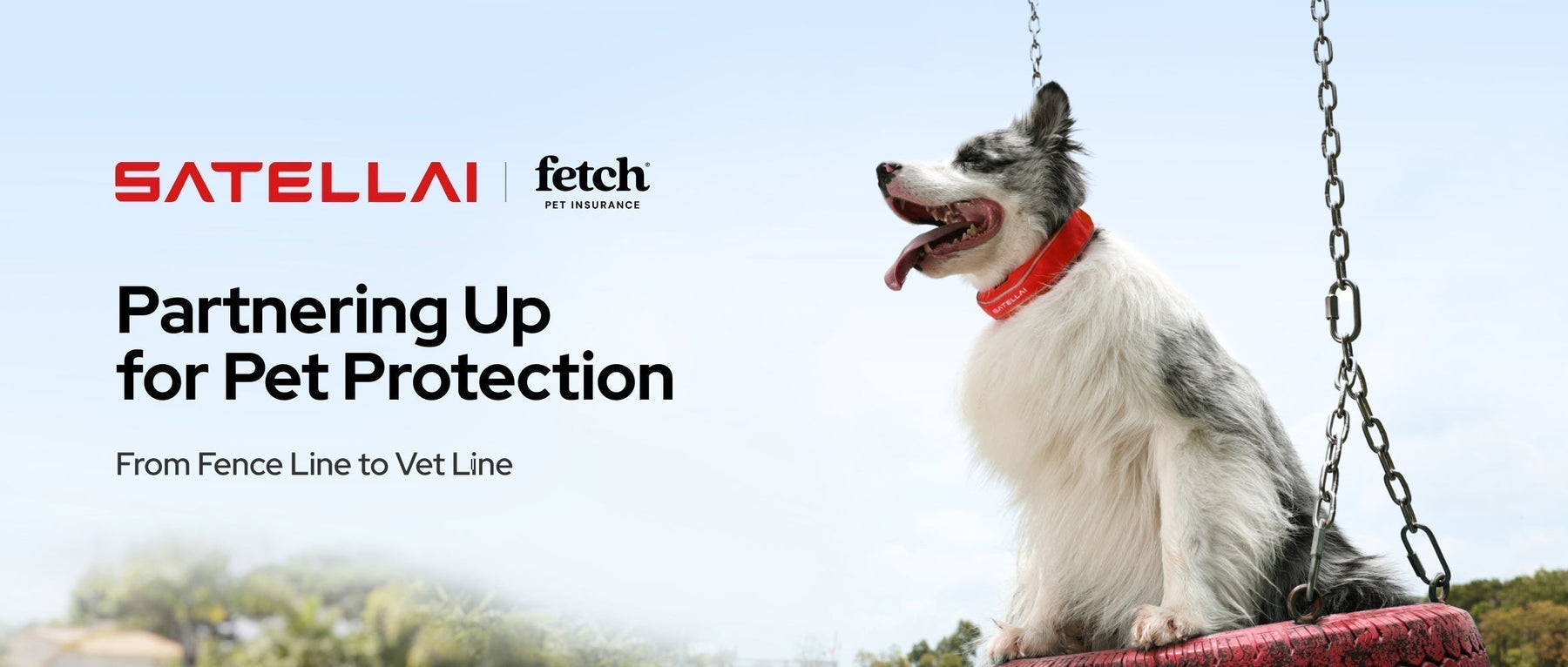 SATELLAI and Fetch pet protection banner with dog in smart collar