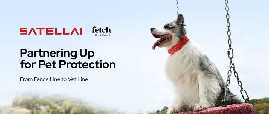 SATELLAI and Fetch pet protection banner with dog in smart collar
