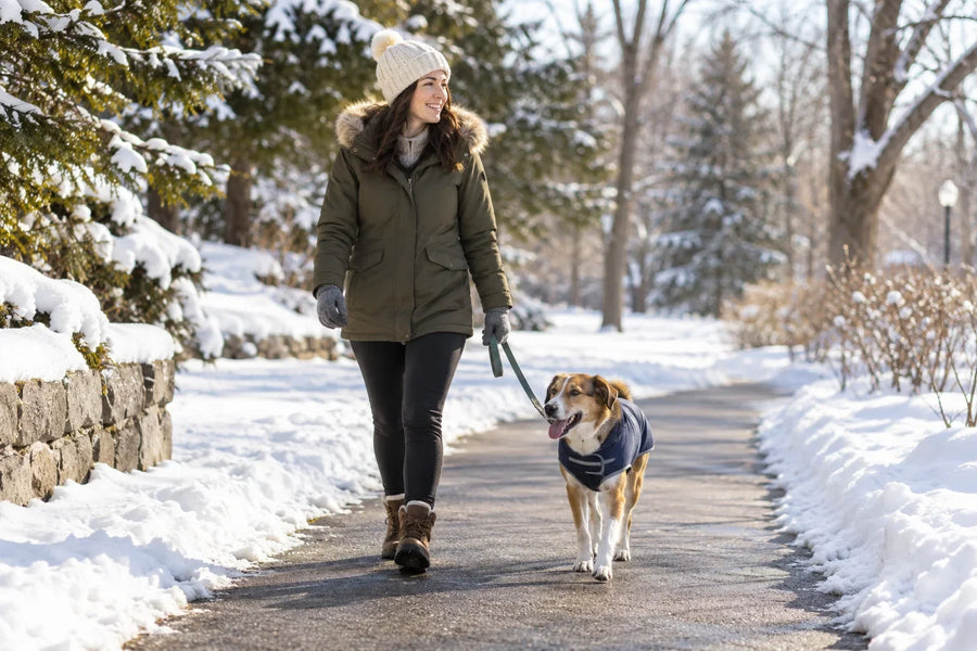 Owner walking a leashed dog in a winter coat on a cleared snowy park path.