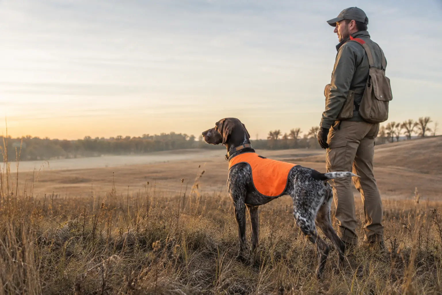Hunting dog wearing a high-visibility vest with its handler in the field