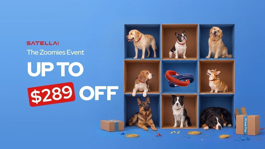 SATELLAI Summer Sale 2026: Best GPS Dog Collar Deals Live Now