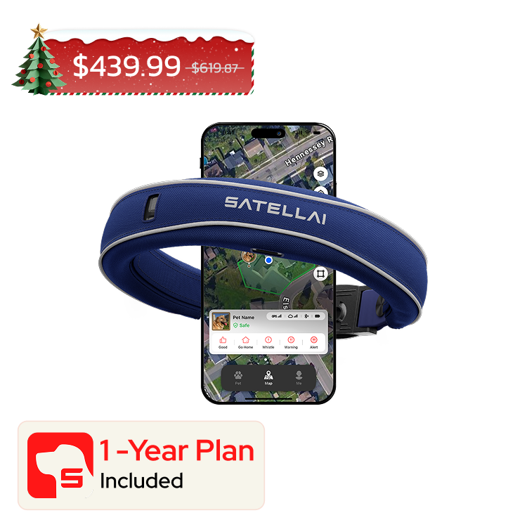 SATELLAI Collar +Plan Bundle — Smart Collar and GPS Dog Fence