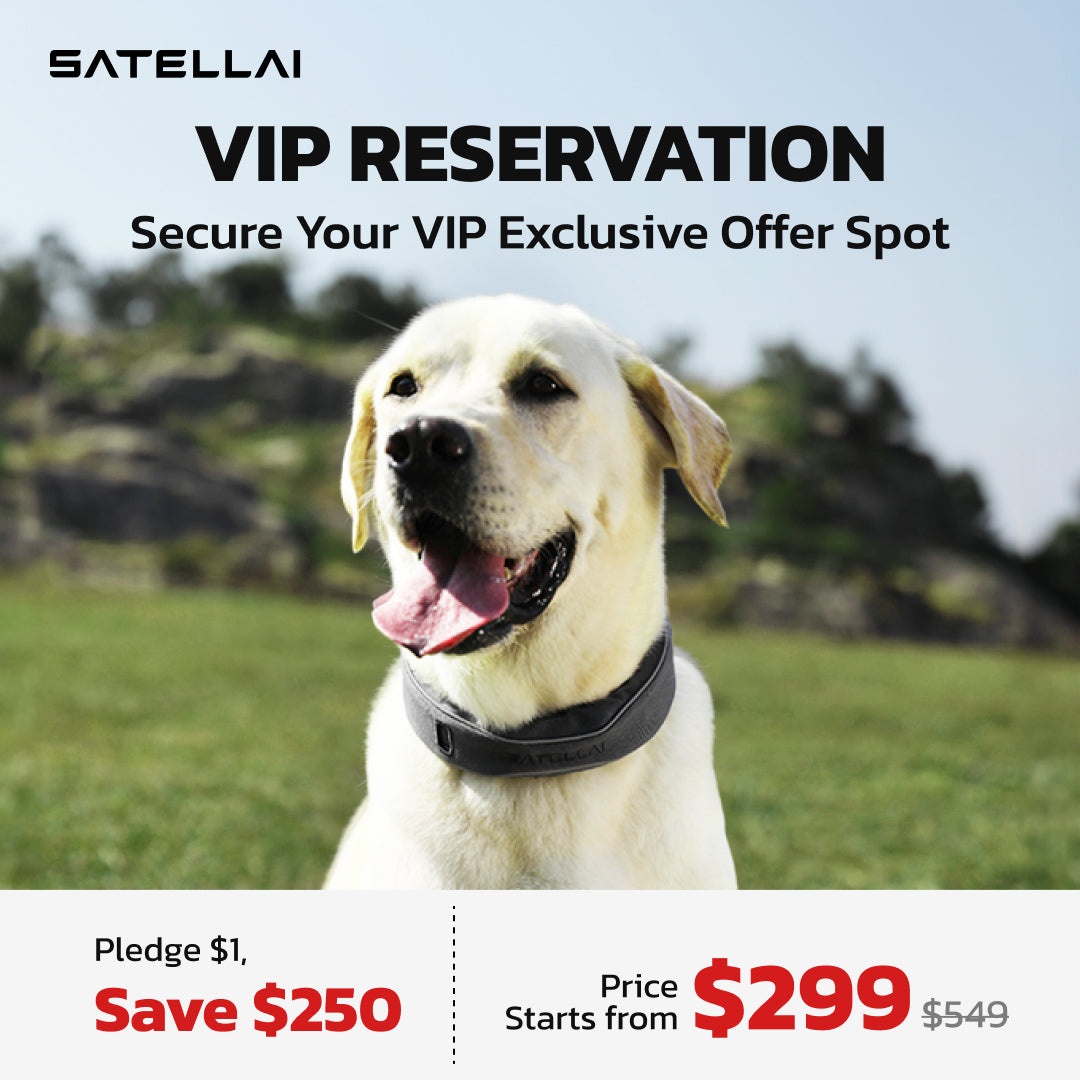 $1 SATELLAI Smart Wireless Dog Fence Collar Reservation