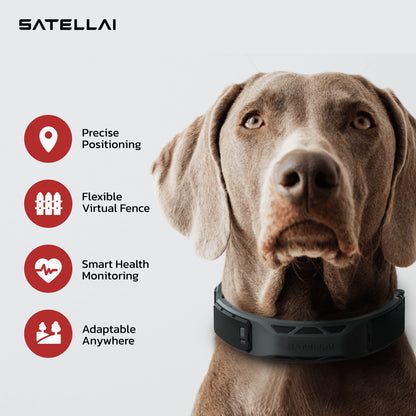 $1 SATELLAI Smart Wireless Dog Fence Collar Reservation