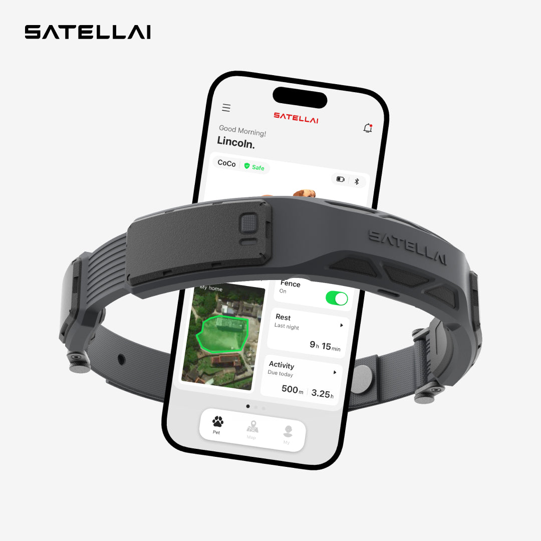 $1 SATELLAI Smart Wireless Dog Fence Collar Reservation