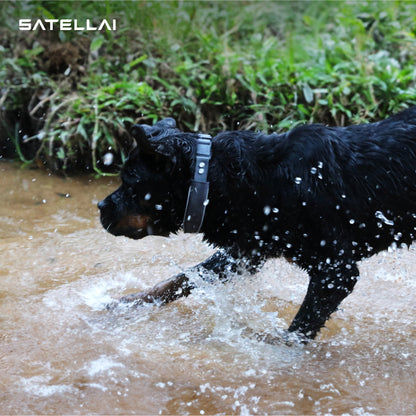 $1 SATELLAI Smart Wireless Dog Fence Collar Reservation