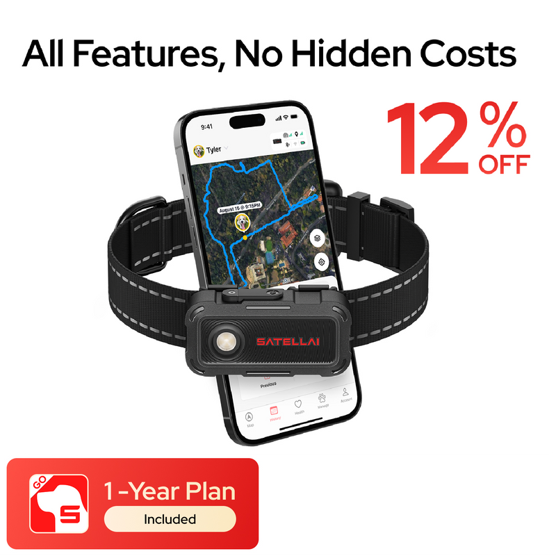 SATELLAI Collar Go + Plan Bundle Smart GPS Dog Collar with Live Tracking &amp; Health Monitoring