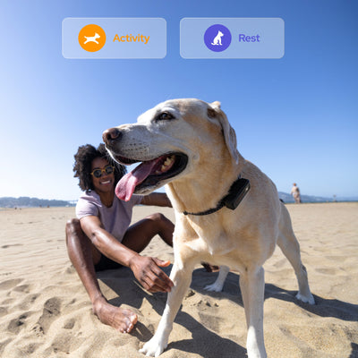 Activity and Health Monitor with Confidence