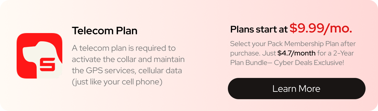 SatellAI App - Telecom Plan