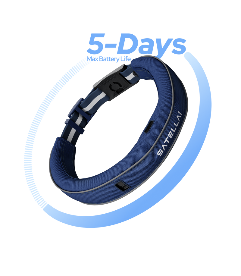 Confidence in Every Situation