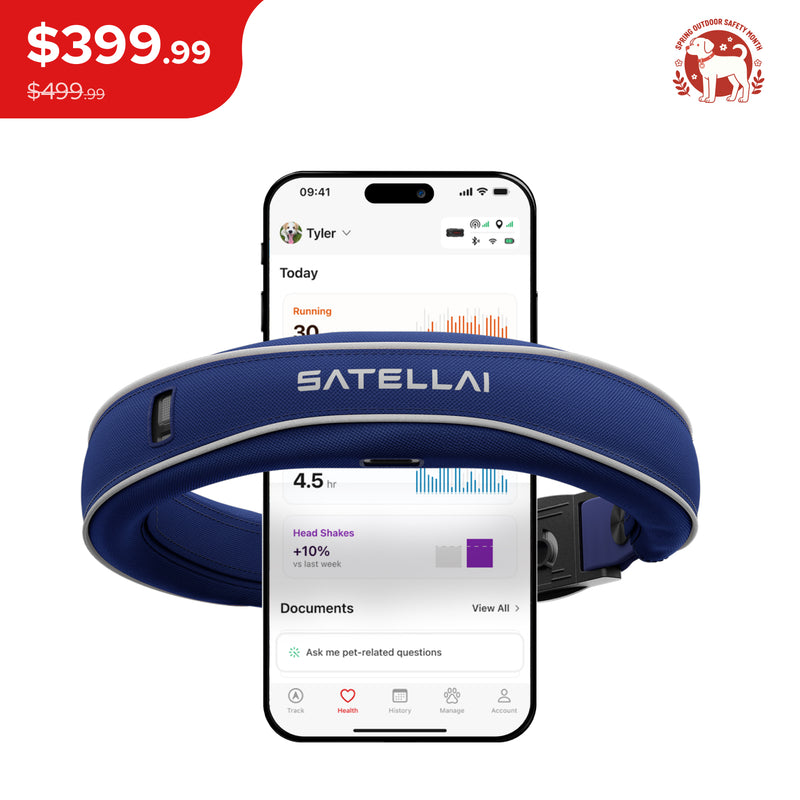 SATELLAI Collar — Smart Collar and GPS Dog Fence