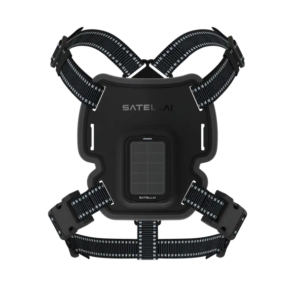 Harness