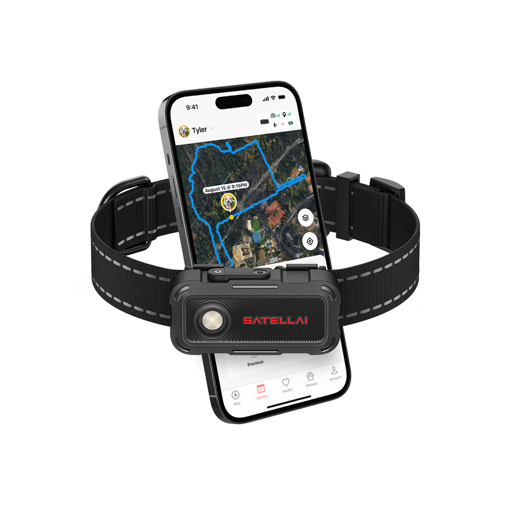 SATELLAI Collar Go + Plan Bundle 智慧型 GPS 狗狗項圈，具備即時追蹤與健康監測功能