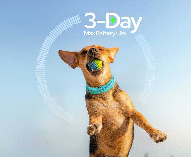 3-Day Max Battery Life