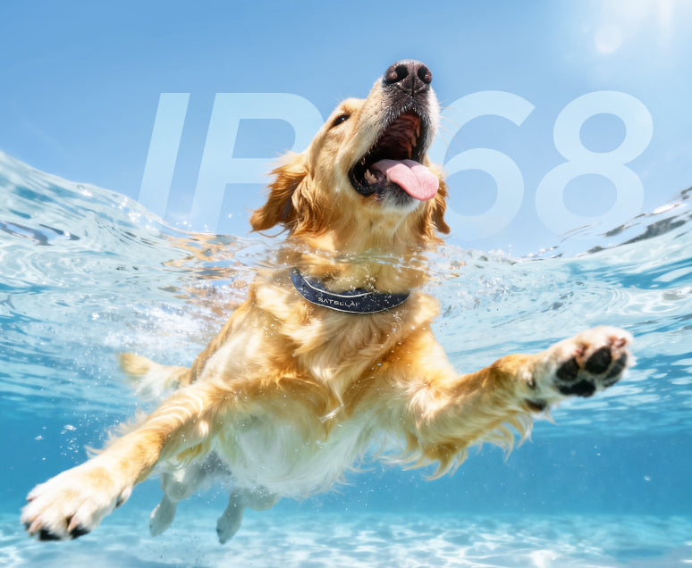 IP68 Waterproof and Dust proof