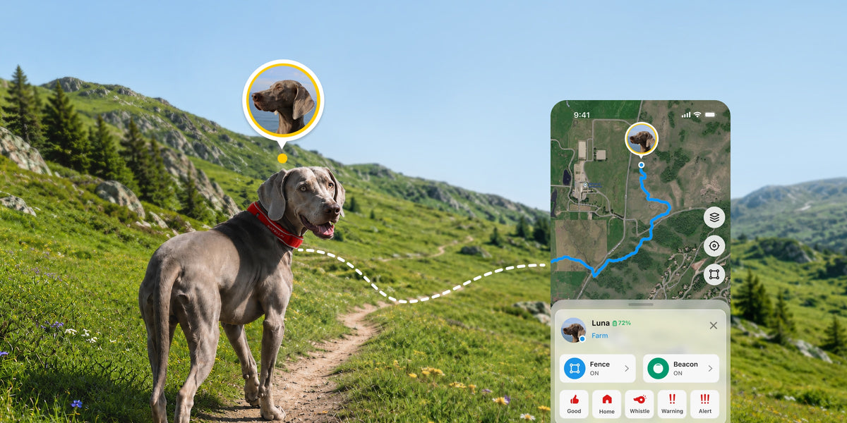 Truly stable LTE coverage.