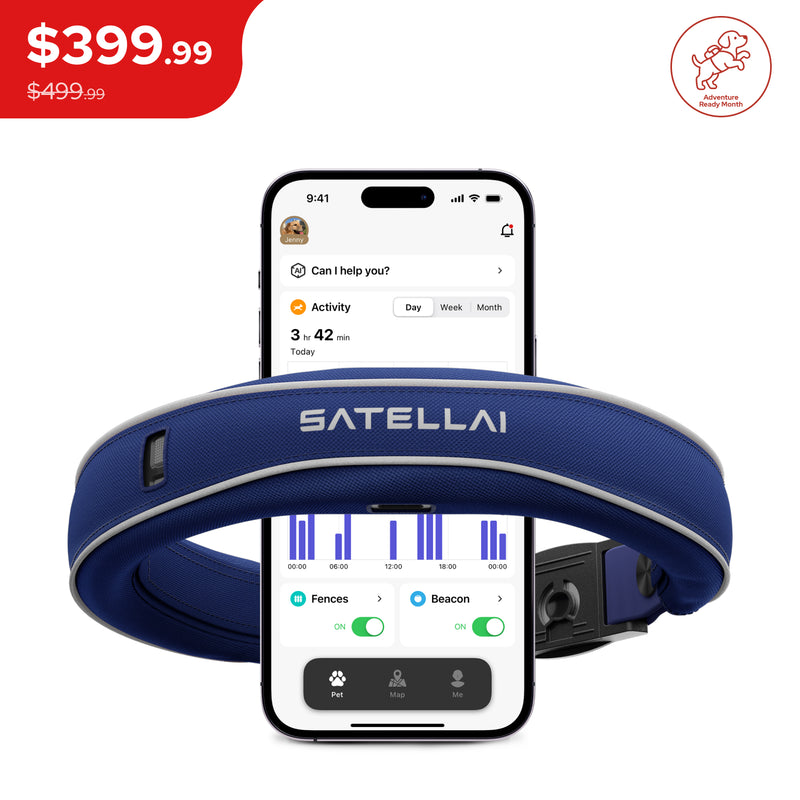 SATELLAI Collar — Smart Collar and GPS Dog Fence