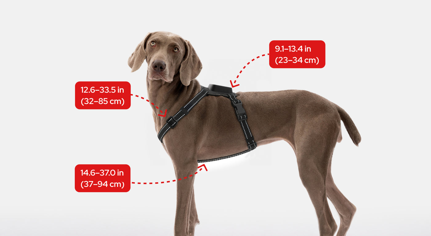 SATELLAI Tracker Ultra adjustable strap