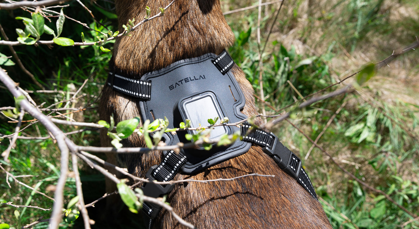 SATELLAI Tracker Ultra outdoor protection