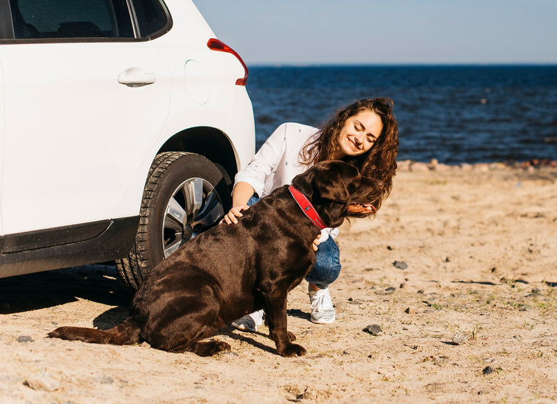 Accurate GPS Tracker