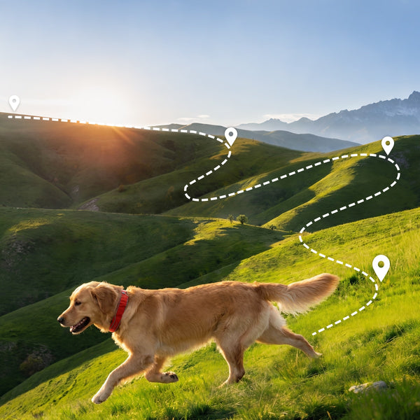 Accurate, Real-Time GPS Positioning