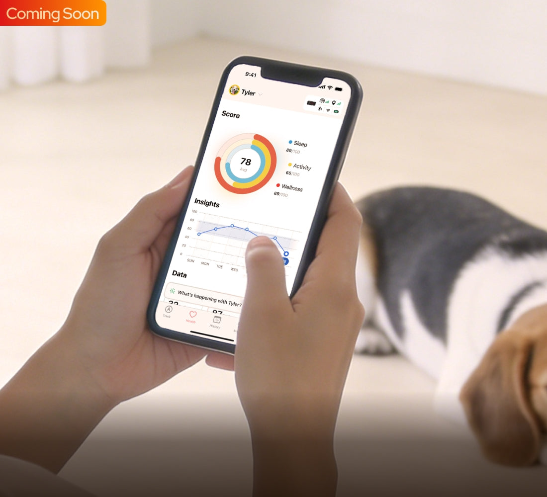 SATELLAI Collar Go Smart GPS Dog Collar with Live Tracking & Health Monitoring
