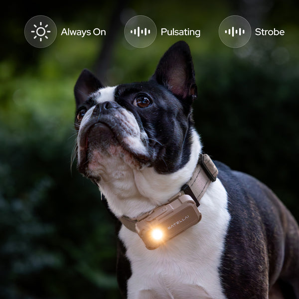 Adjustable Starlight