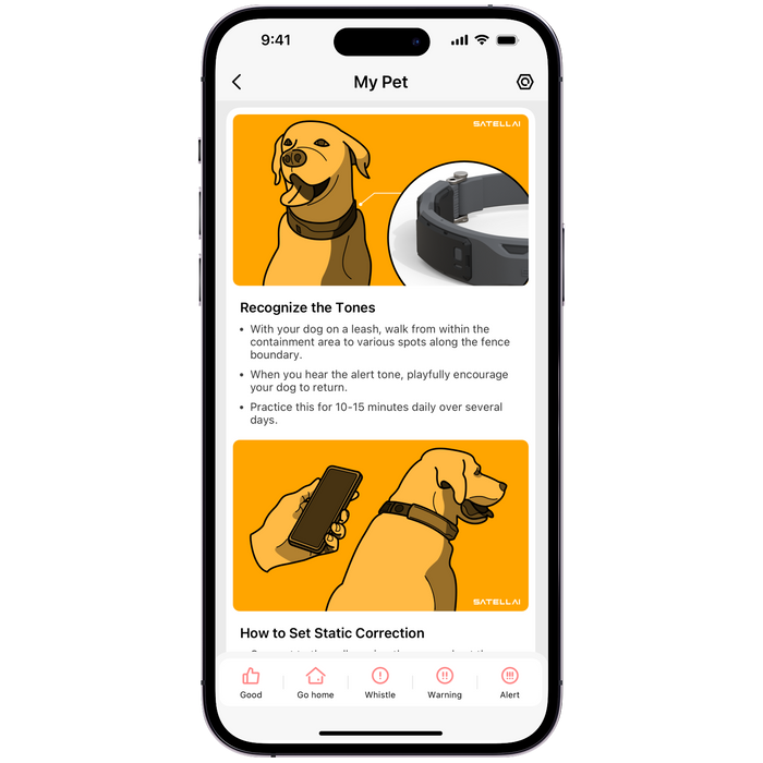Additional Advanced Features