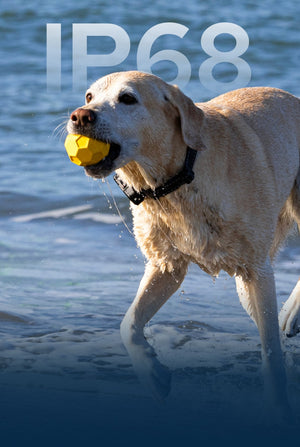 Built for Every Adventure