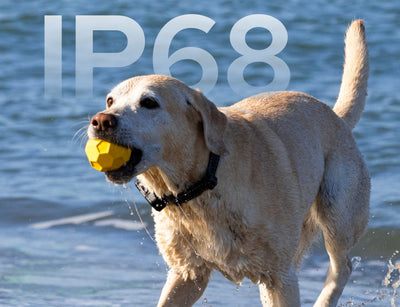 Built for Every Adventure