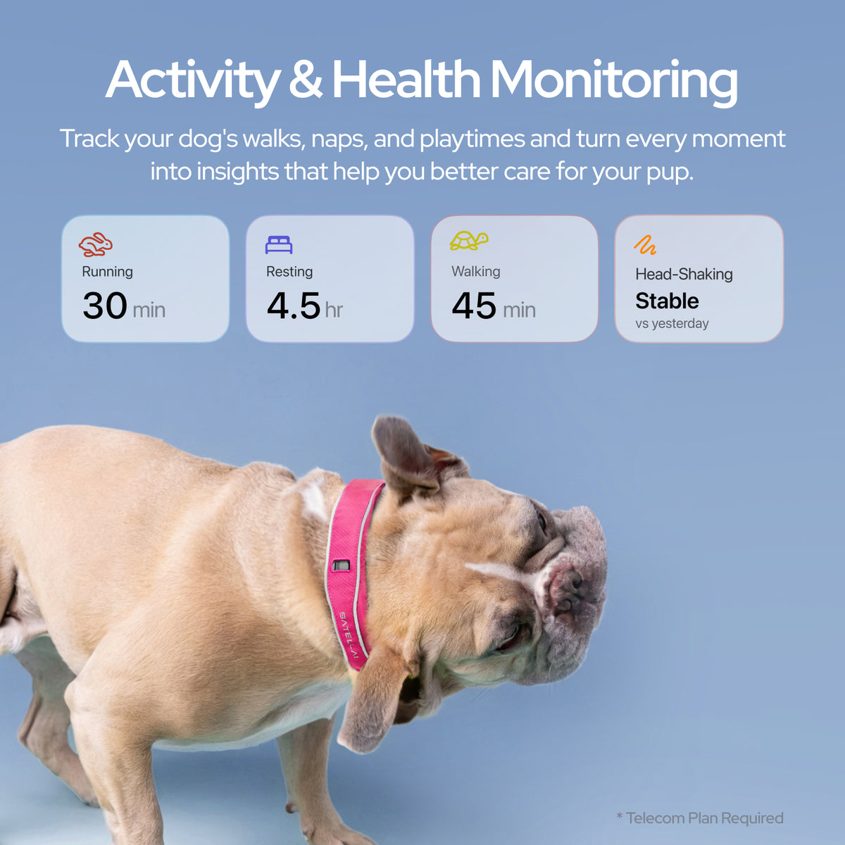 Smart Dog Collar | GPS Virtual Fence & Health Monitor SATELLAI Smart Dog Collar | GPS Virtual Fence & Health Monitor SATELLAI