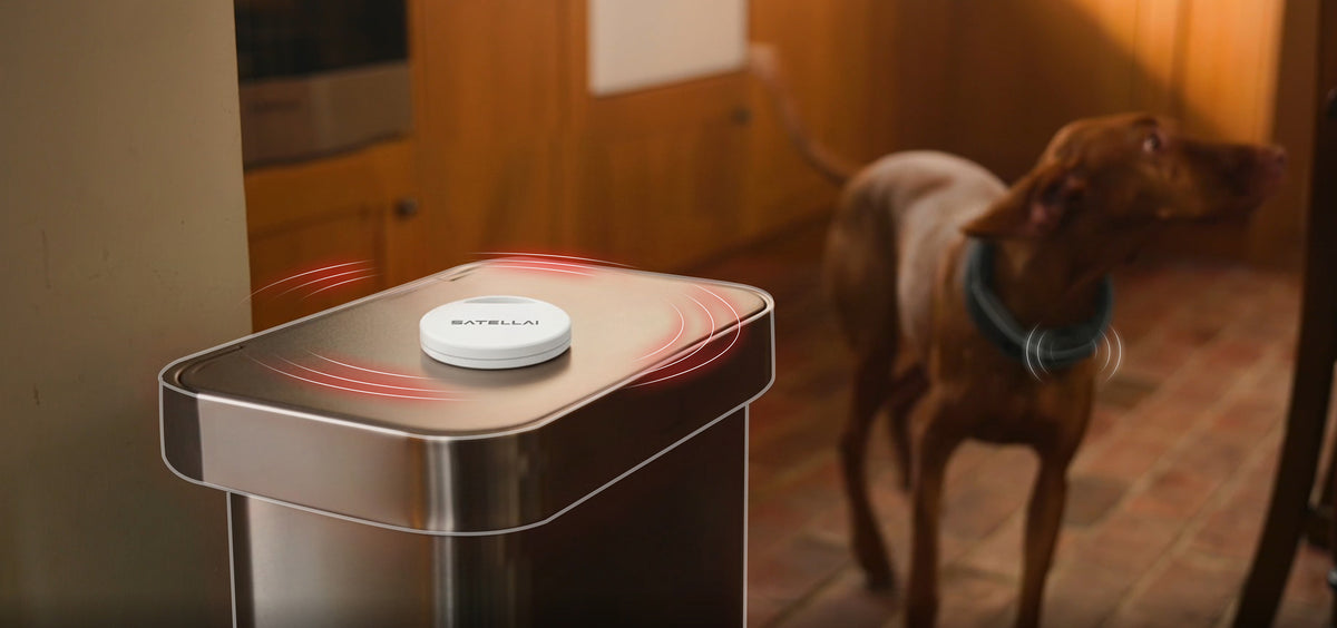 Flexible Boundaries with Beacon