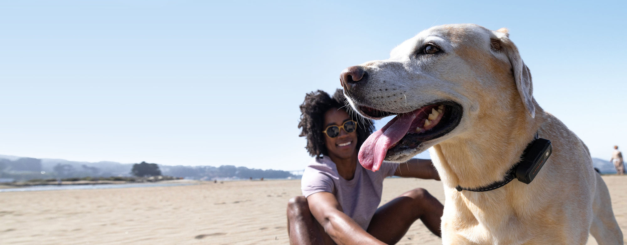 SATELLAI Collar Go Smart GPS Dog Collar with Live Tracking & Health Monitoring