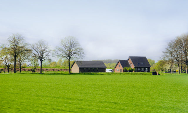 Moderate tree coverage
