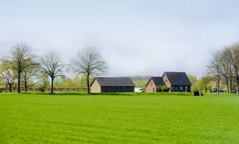 Moderate tree coverage