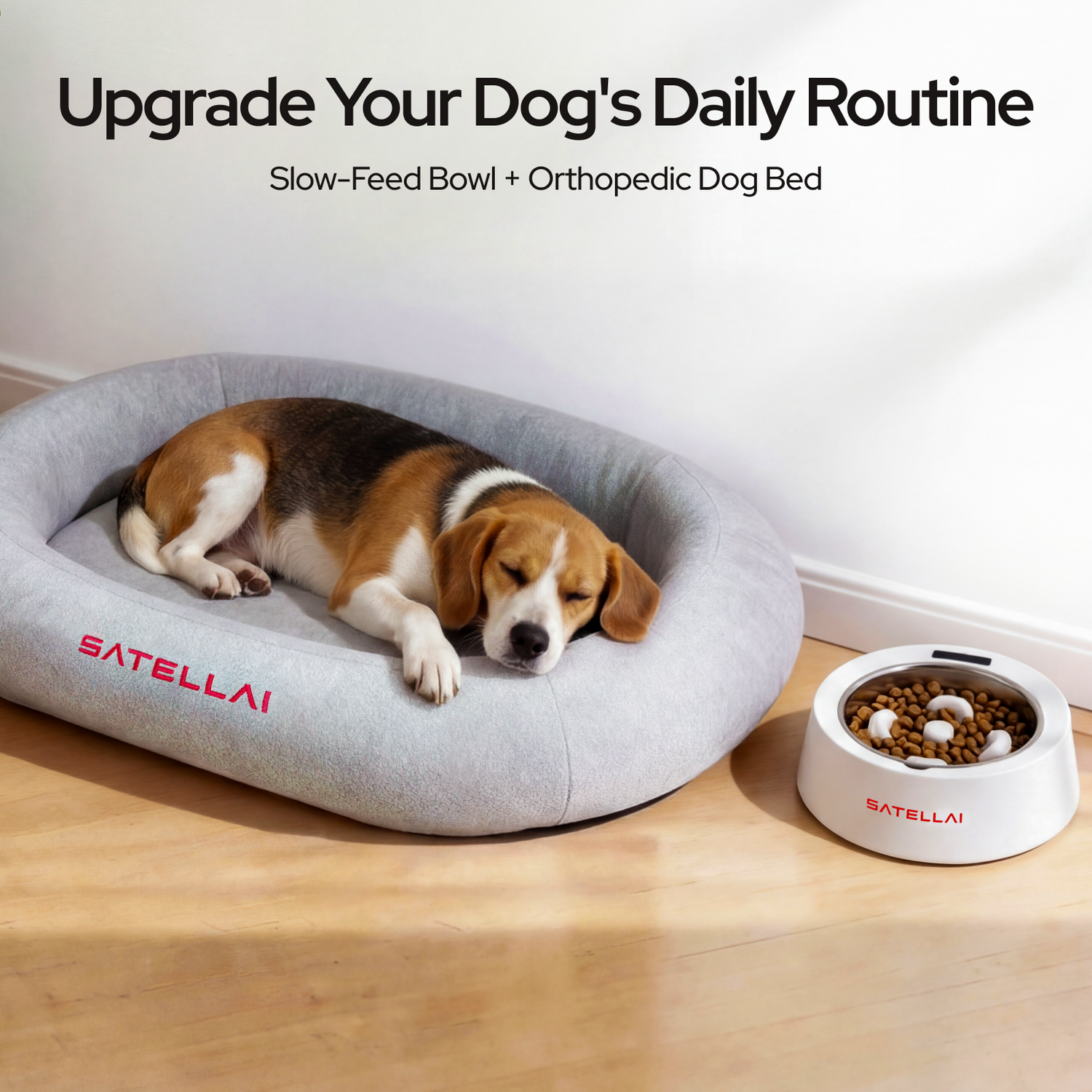 SATELLAI Dog Bed & Dog Bowl
