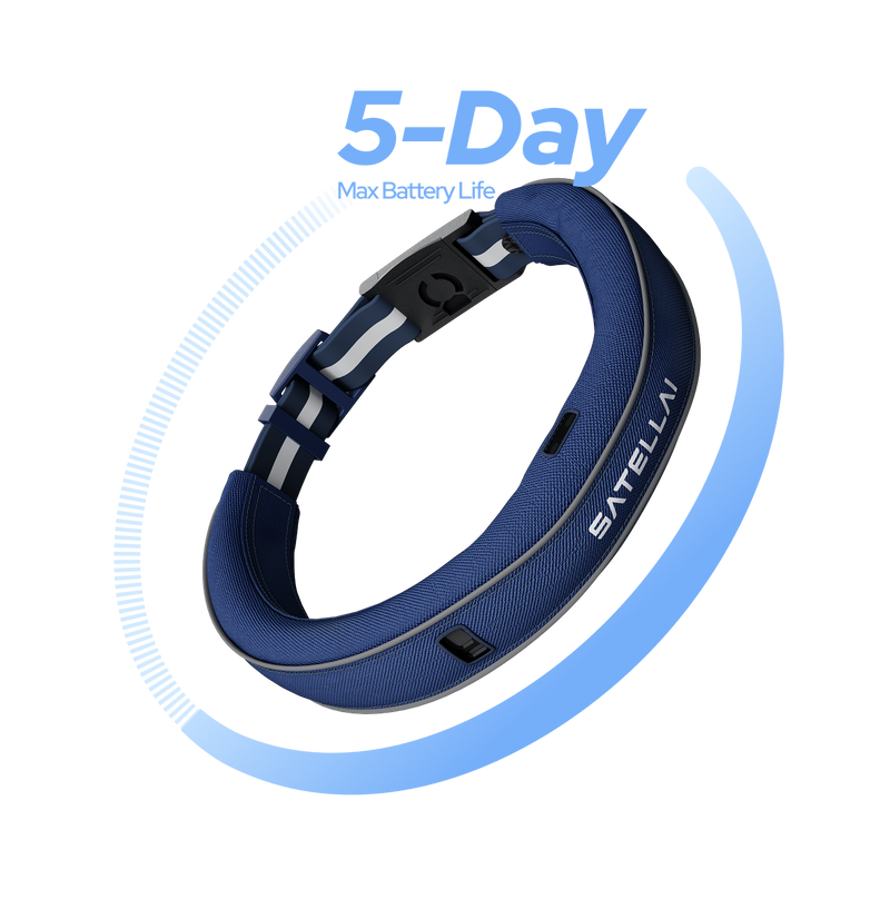 Confidence in Every Situation