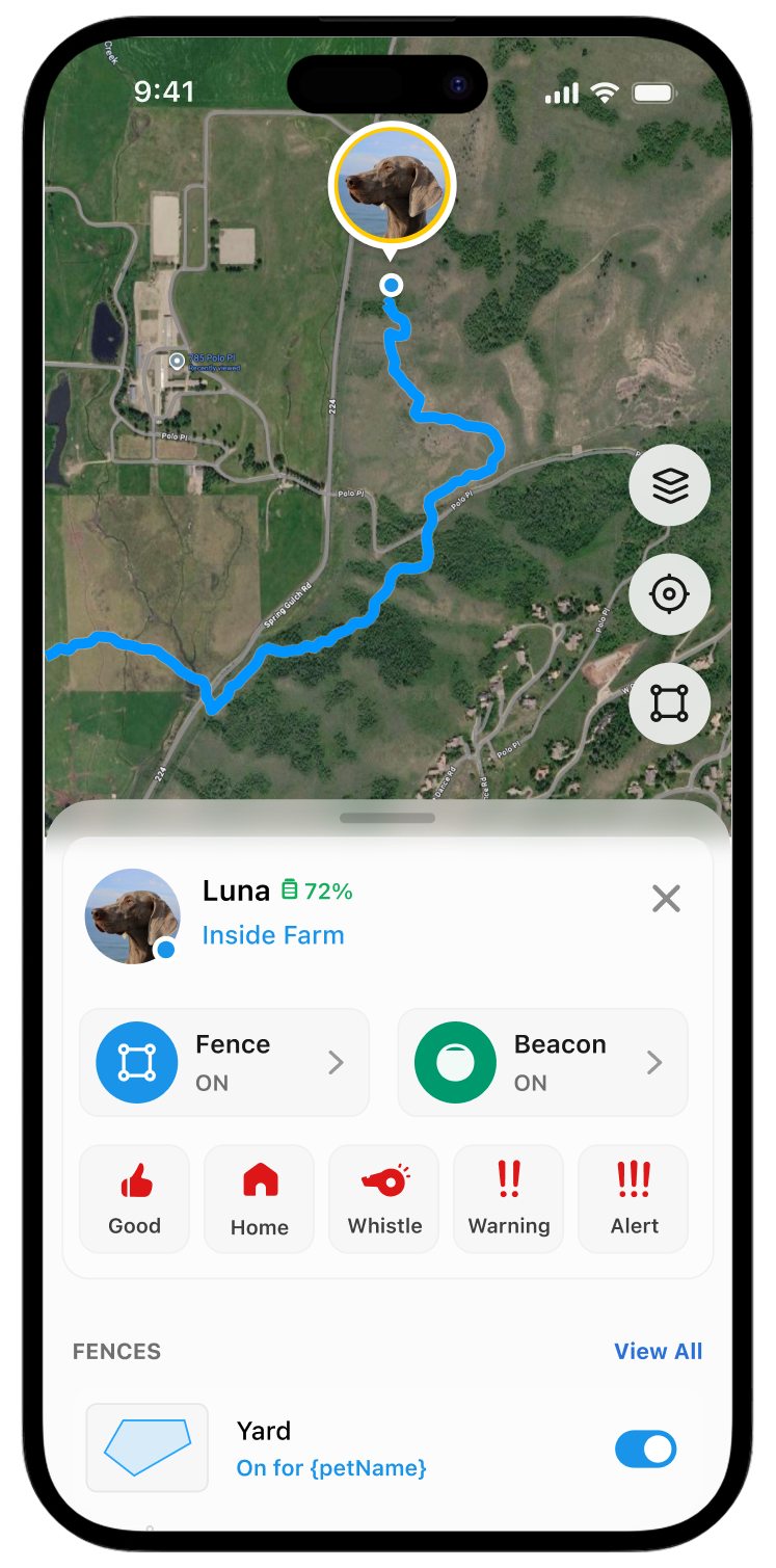 International Live Tracking