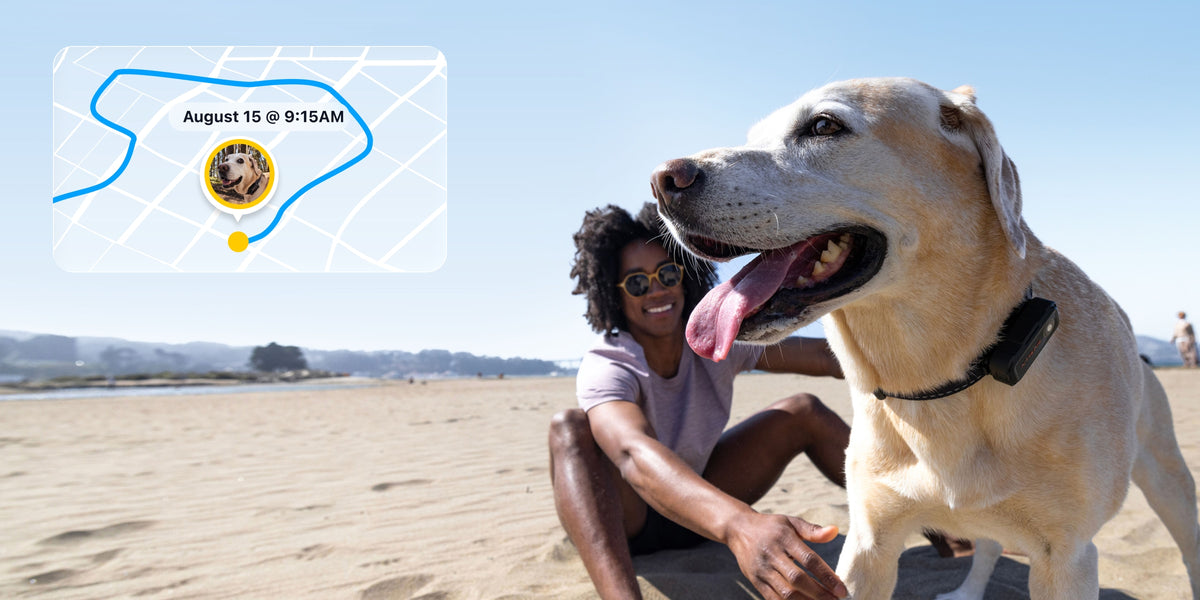 Real-time tracking where others can't.