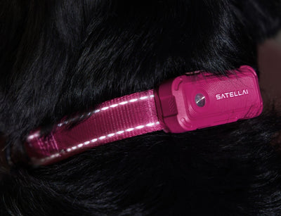 More Visible.  More Safe.